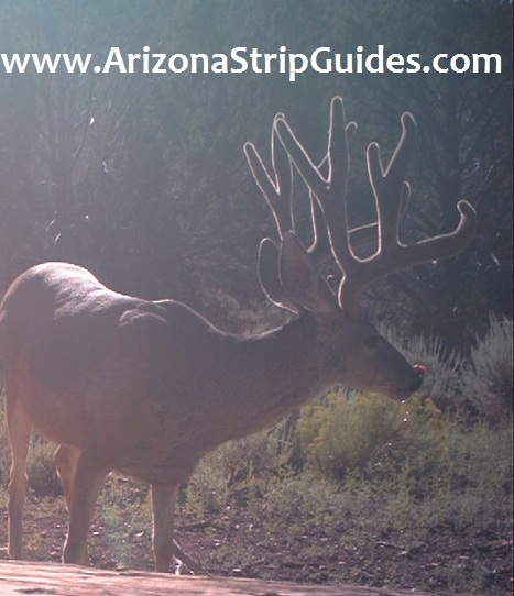 arizona-strip-outfitters-14at.jpg