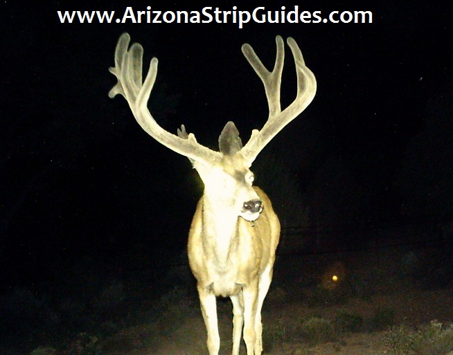 arizona-strip-outfitters-35at.jpg