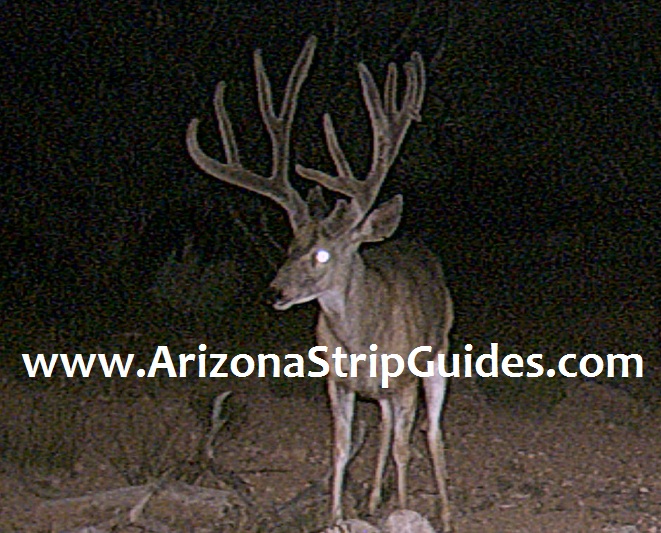 arizona-strip-outfitters-38at.jpg