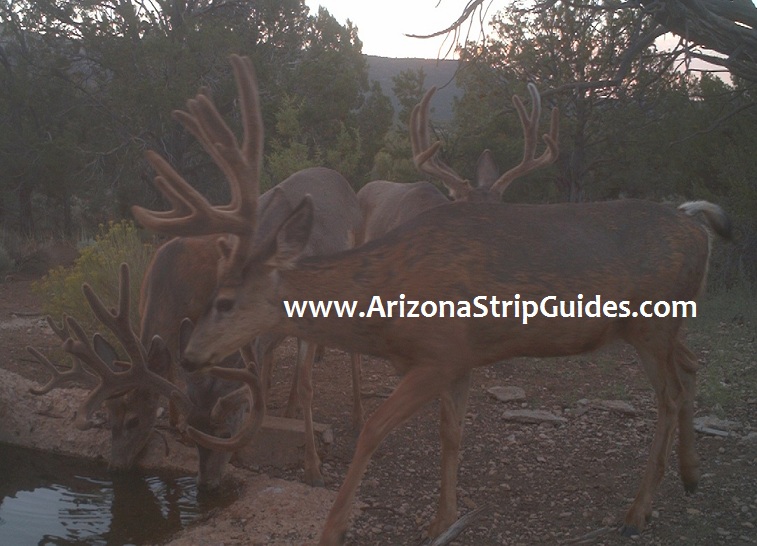 arizona-strip-outfitters-3at.jpg