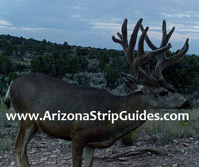 guides-for-the-arizona-strip-2t.jpg