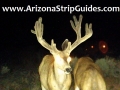 arizona-strip-bucks-3.jpg