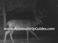 arizona-strip-bucks-6.jpg