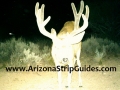 arizona-strip-bucks-7.jpg
