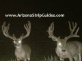 arizona-strip-guides-12at.jpg