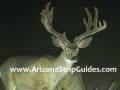arizona-strip-guides-18at.jpg