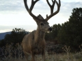 arizona-strip-guides-23at.jpg