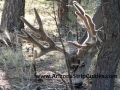arizona-strip-guides-29at.jpg