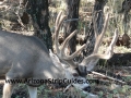 arizona-strip-guides-30at.jpg