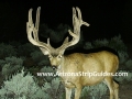 arizona-strip-guides-31at.jpg