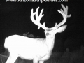 arizona-strip-guides-33at.jpg