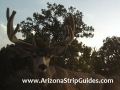 arizona-strip-guides-35at.jpg