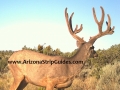 arizona-strip-guides-38at.jpg