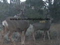 arizona-strip-guides-3at.jpg
