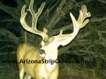 arizona-strip-guides-49at.jpg