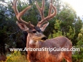 arizona-strip-guides-9at.jpg