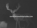 arizona-strip-outfitters-11at.jpg