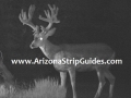 arizona-strip-outfitters-12at.jpg