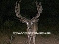 arizona-strip-outfitters-1at.jpg