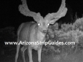 arizona-strip-outfitters-21at.jpg