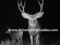 arizona-strip-outfitters-22at.jpg