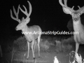 arizona-strip-outfitters-24at.jpg