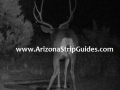 arizona-strip-outfitters-25at.jpg