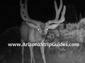 arizona-strip-outfitters-26at.jpg