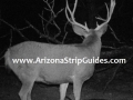 arizona-strip-outfitters-27at.jpg