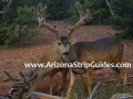 arizona-strip-outfitters-28at.jpg