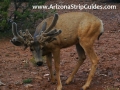 arizona-strip-outfitters-29at.jpg