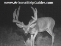 arizona-strip-outfitters-2at.jpg