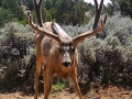 arizona-strip-outfitters-30at.jpg