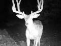 arizona-strip-outfitters-31at.jpg