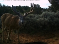 arizona-strip-outfitters-32at.jpg