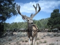 arizona-strip-outfitters-34at.jpg