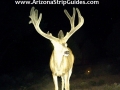 arizona-strip-outfitters-35at.jpg