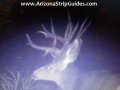 arizona-strip-outfitters-36at.jpg