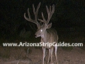 arizona-strip-outfitters-38at.jpg