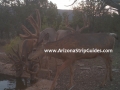 arizona-strip-outfitters-3at.jpg
