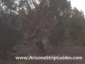 arizona-strip-outfitters-4at.jpg