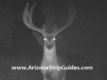 arizona-strip-outfitters-5at.jpg