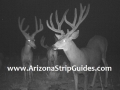 arizona-strip-outfitters-8at.jpg