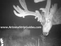 arizona-strip-outfitters-9at.jpg