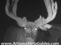 unit-13A-arizona-strip-outfitters-t.jpg