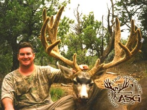 trophy mule deer outfitters