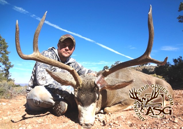 2013 Arizona Mule Deer Hunts - 2013 Arizona Strip mule deer hunts