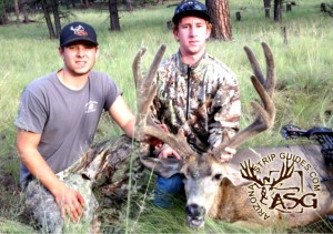 archery mule deer hunts