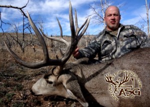 kaibab mule deer