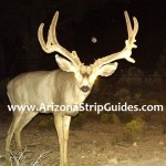 outfitters for trophy mule deer